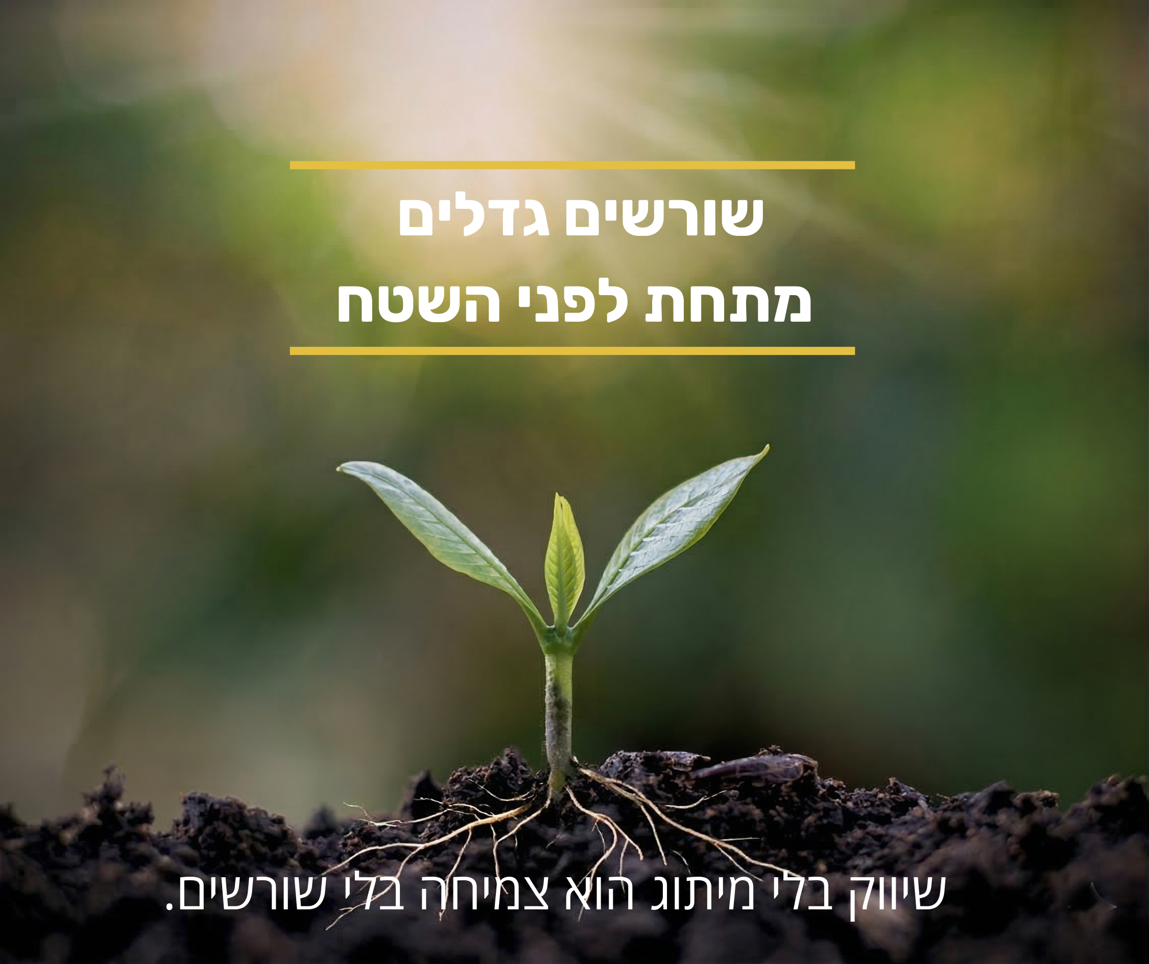 שיווק בלי מיתוג הוא צמיחה בלי שורשים